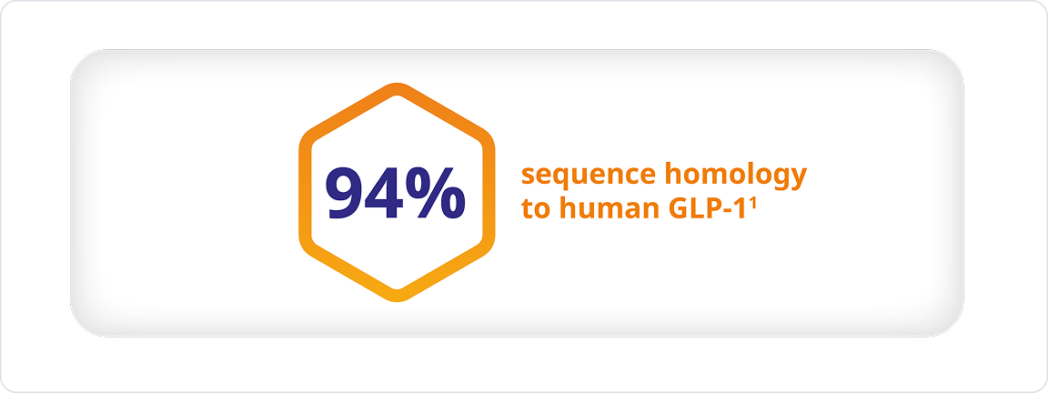 oral semaglutide rybelsus has 94 sequence homology to human glp-1 Overview RYBELSUS® (semaglutide tablets)